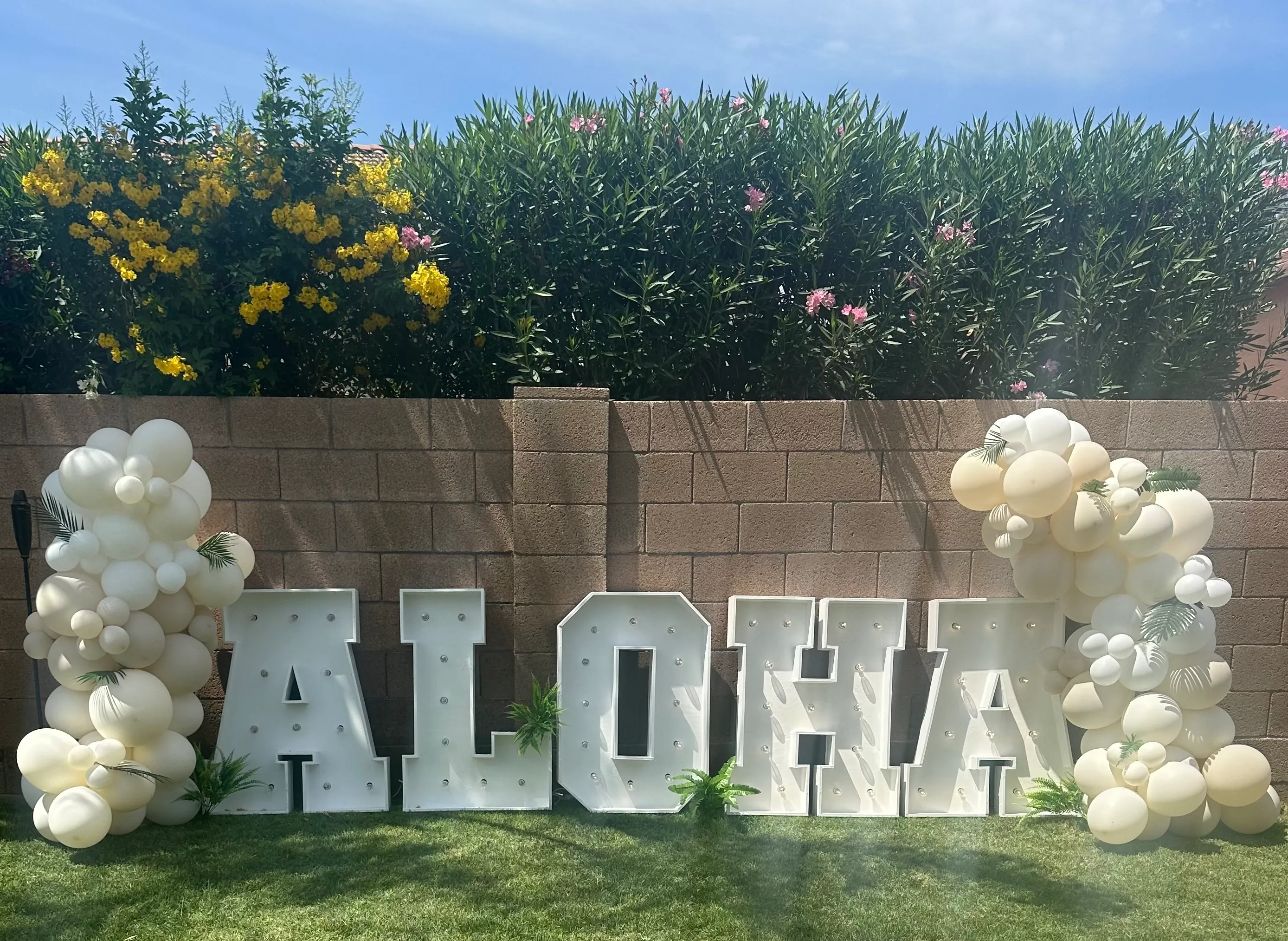 Luau Party Package
