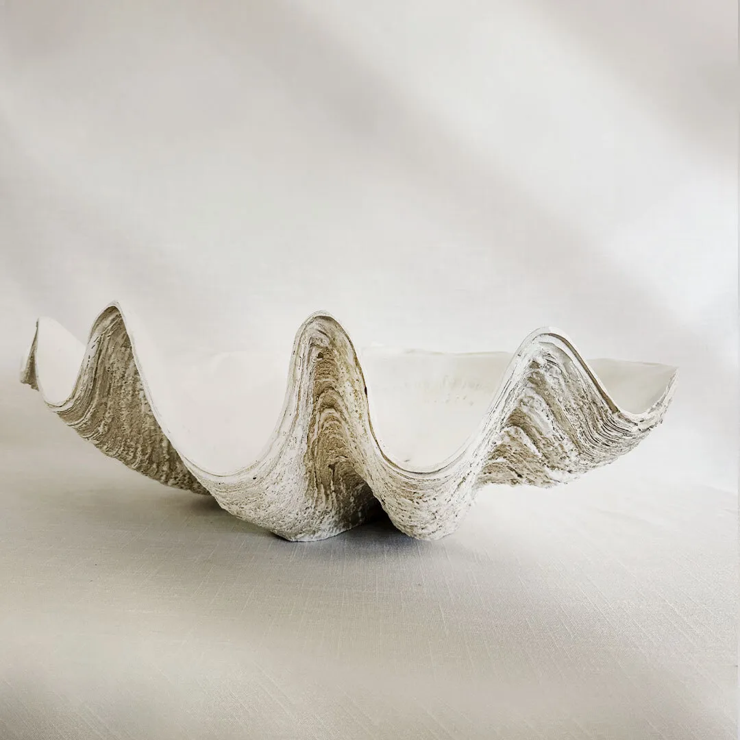 Clam Shell