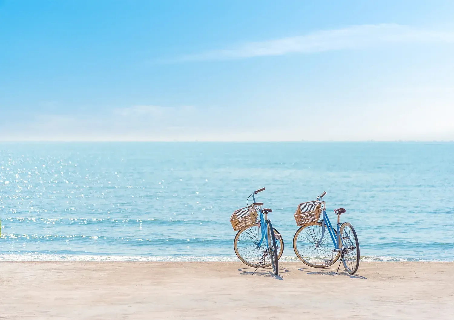 Bike Rentals