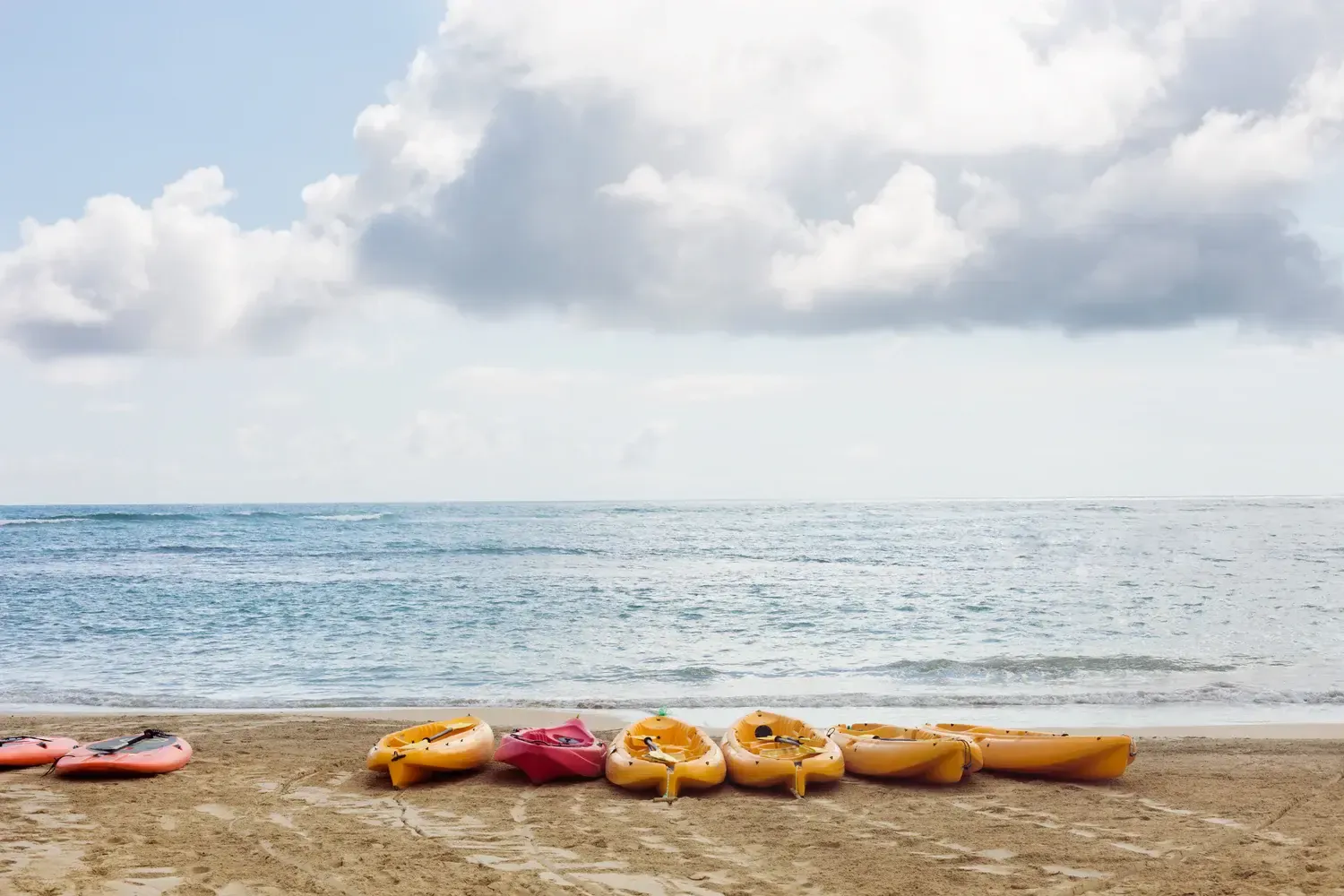 Watersport Rentals