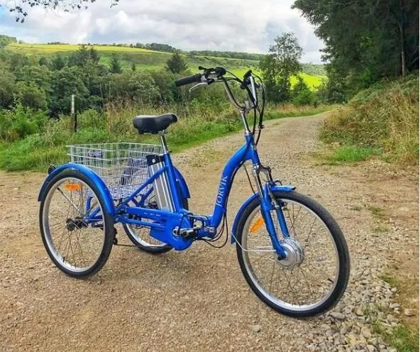 Adult Trike