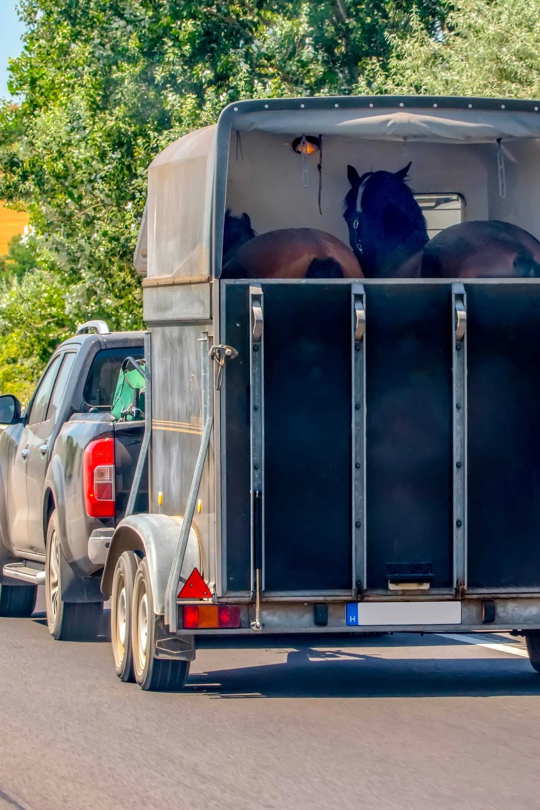 Horse Trailers