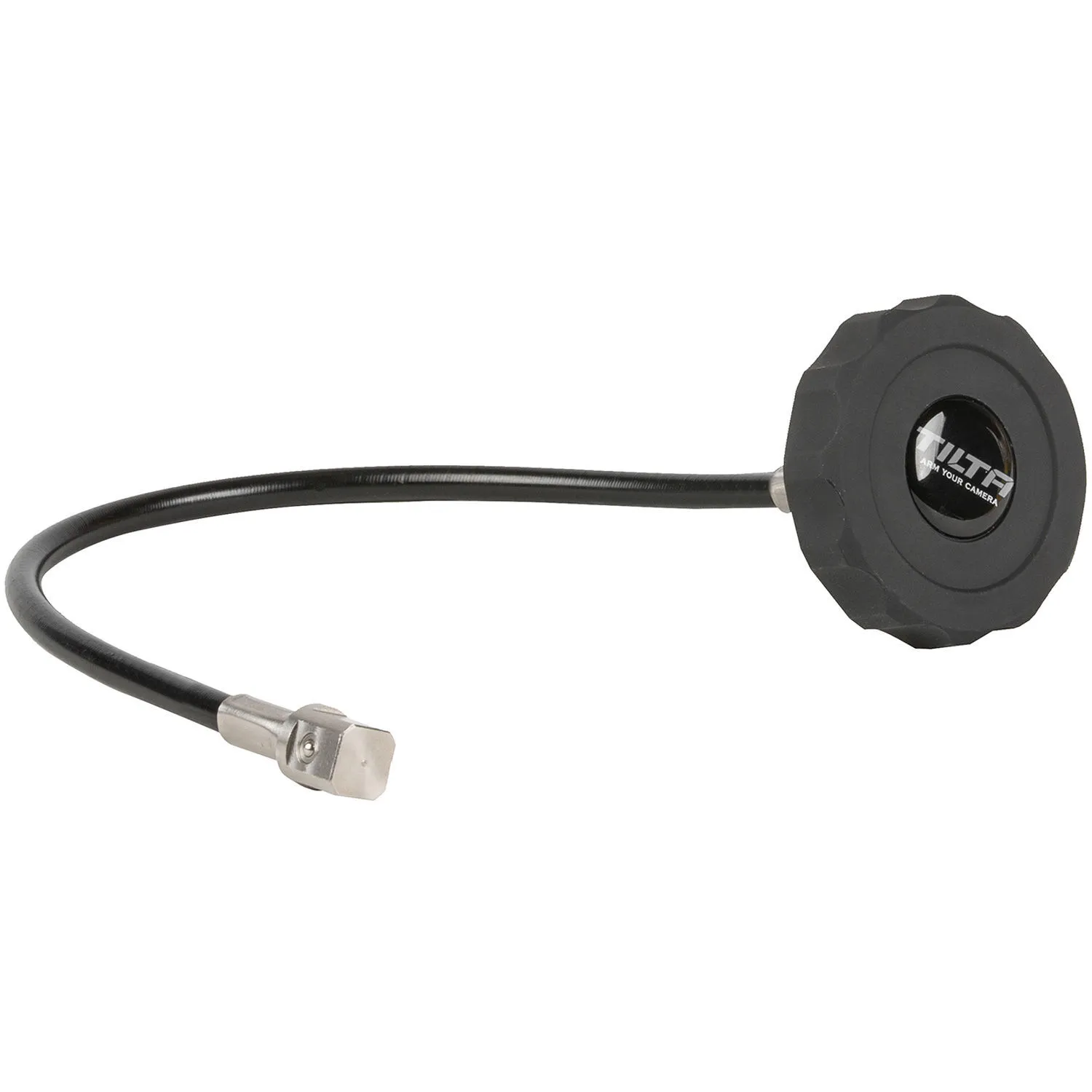 Whip Focus 15"