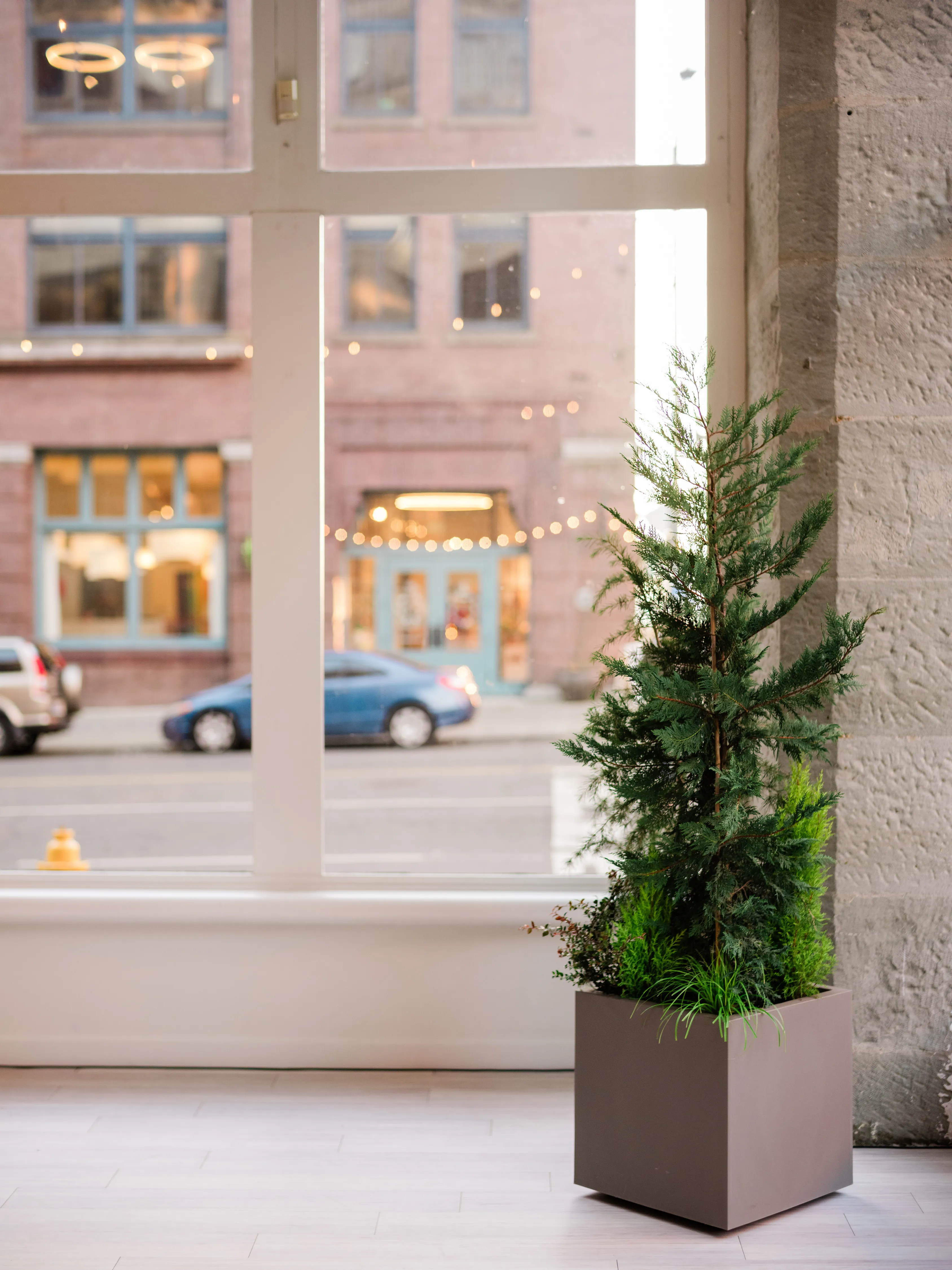 Square Planter