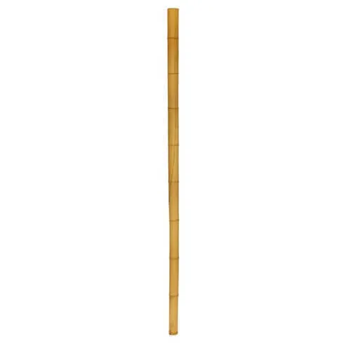 Bamboo Pole for Festoon Lights