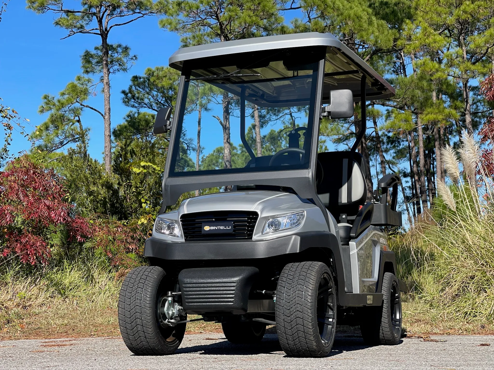 Electric, 4 Seats, Delivery To Seagrove or Inlet Beach