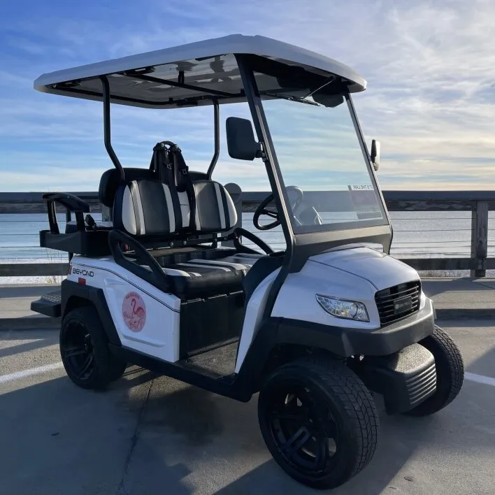 Store Pickup, Electric, 4 Seats