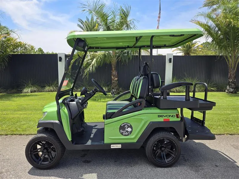 Electric, 4 Seats, Delivery To Santa Rosa Beach 