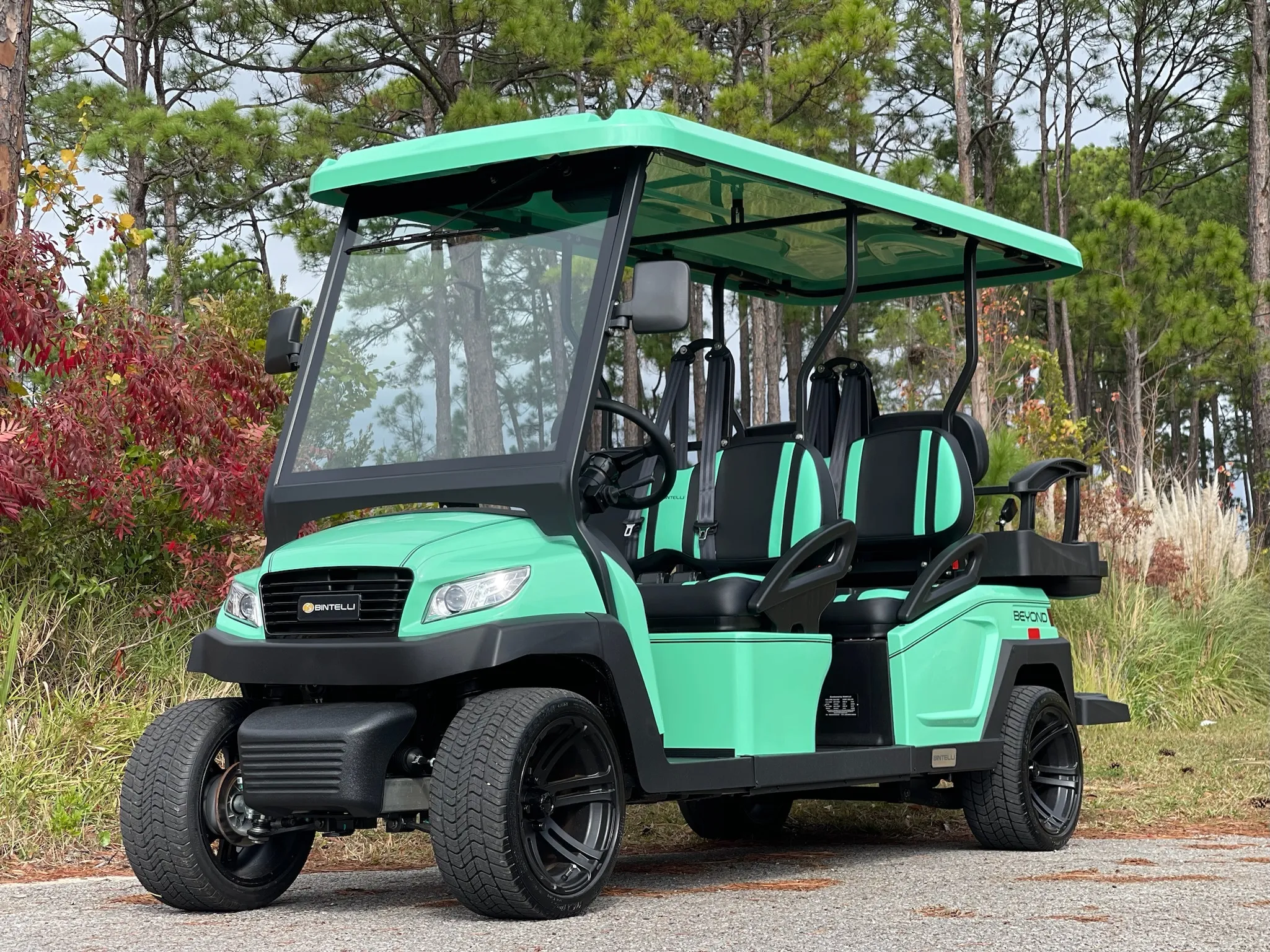 6SEAT STREET LEGAL ELECTRIC GOLF CART RENTAL MIRAMAR BEACH Beach