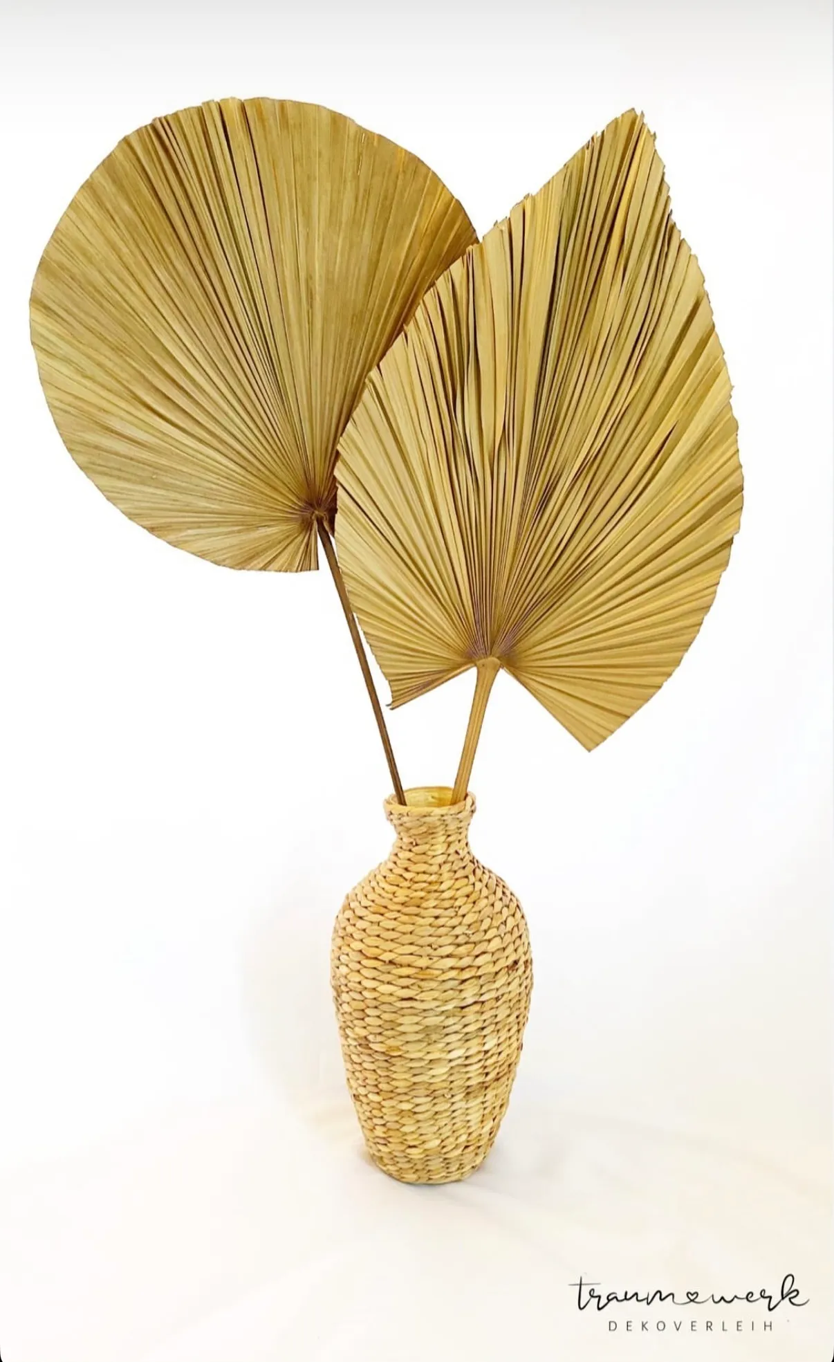 Palmenblätter
