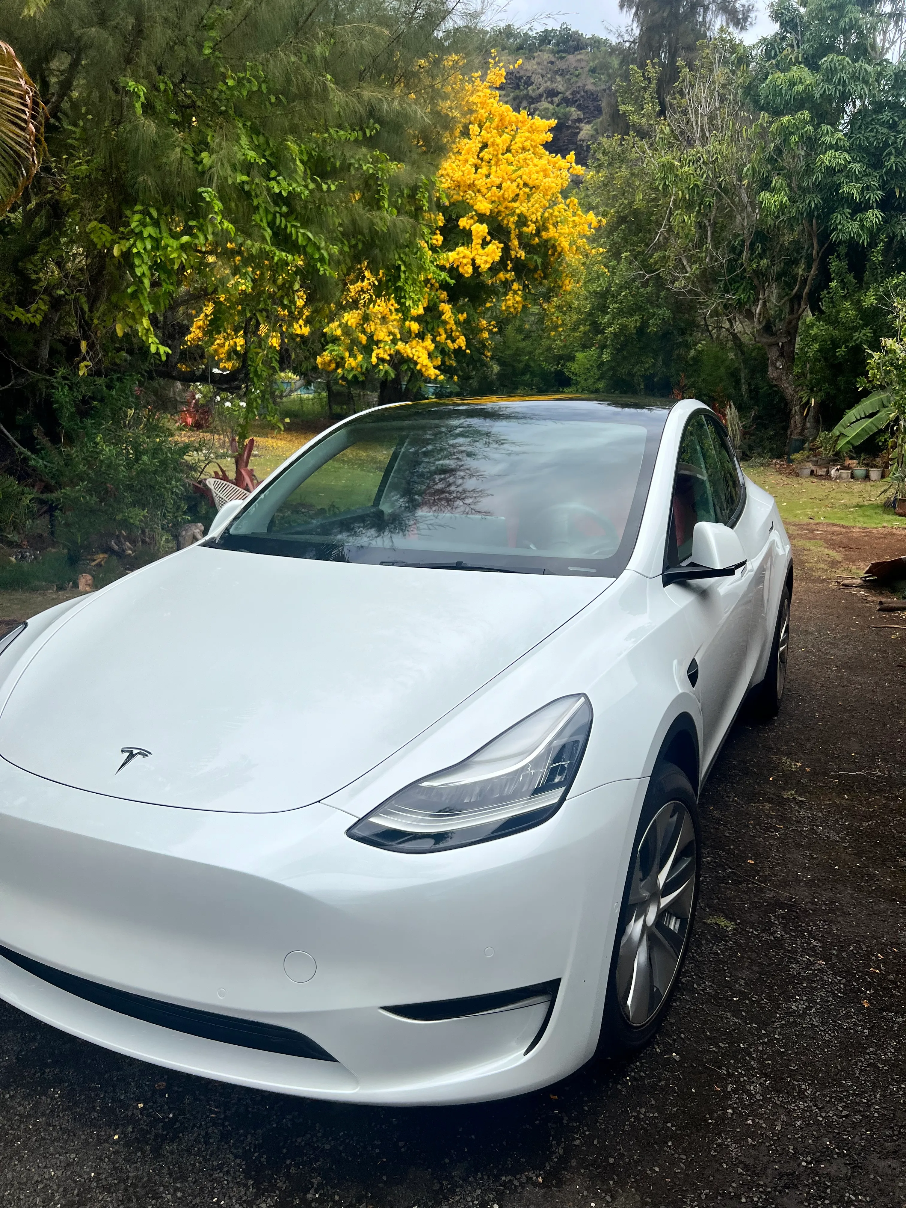 2022 Tesla Model Y Long Range Dual Motor