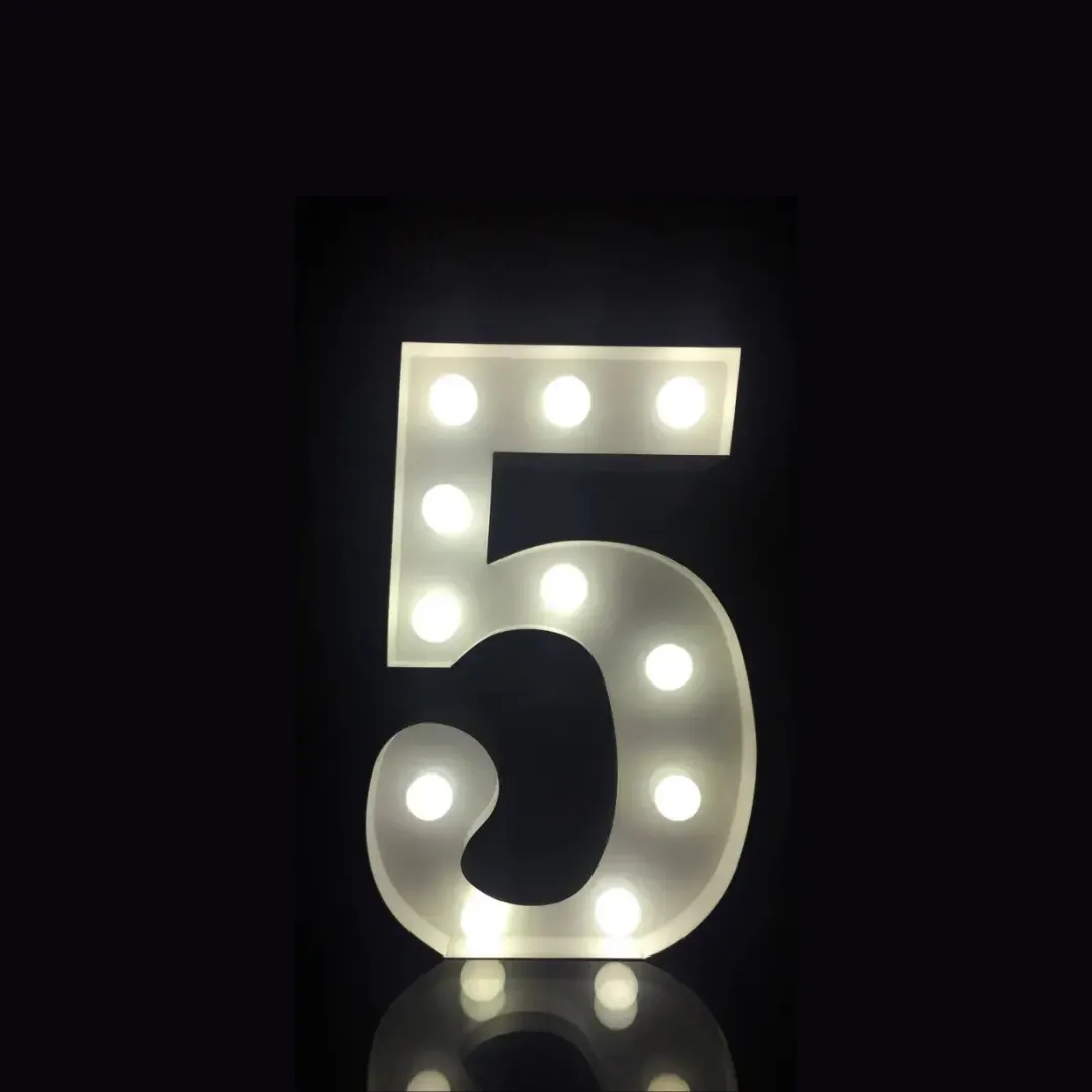Marquee Light Up Number 5