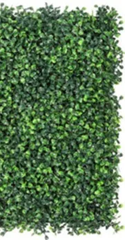 Boxwood Backdrop 4 Ft