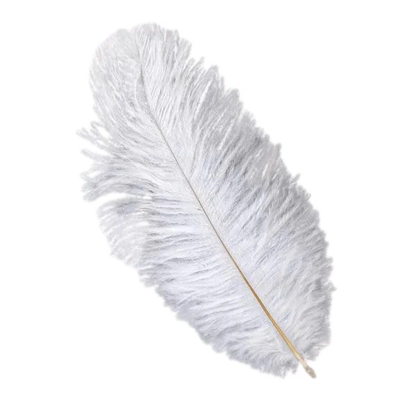 White Ostrich Feathers