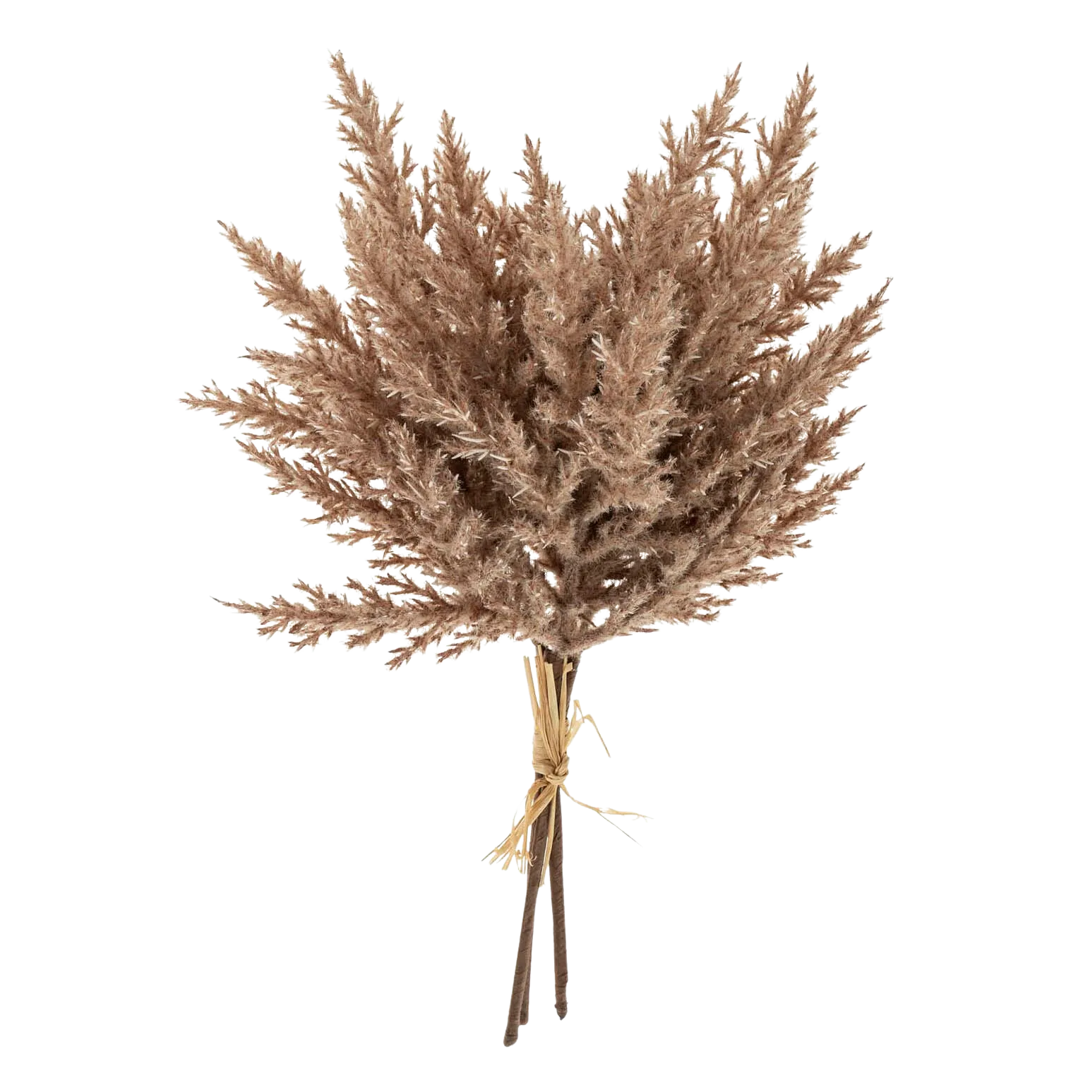 Faux Pampas