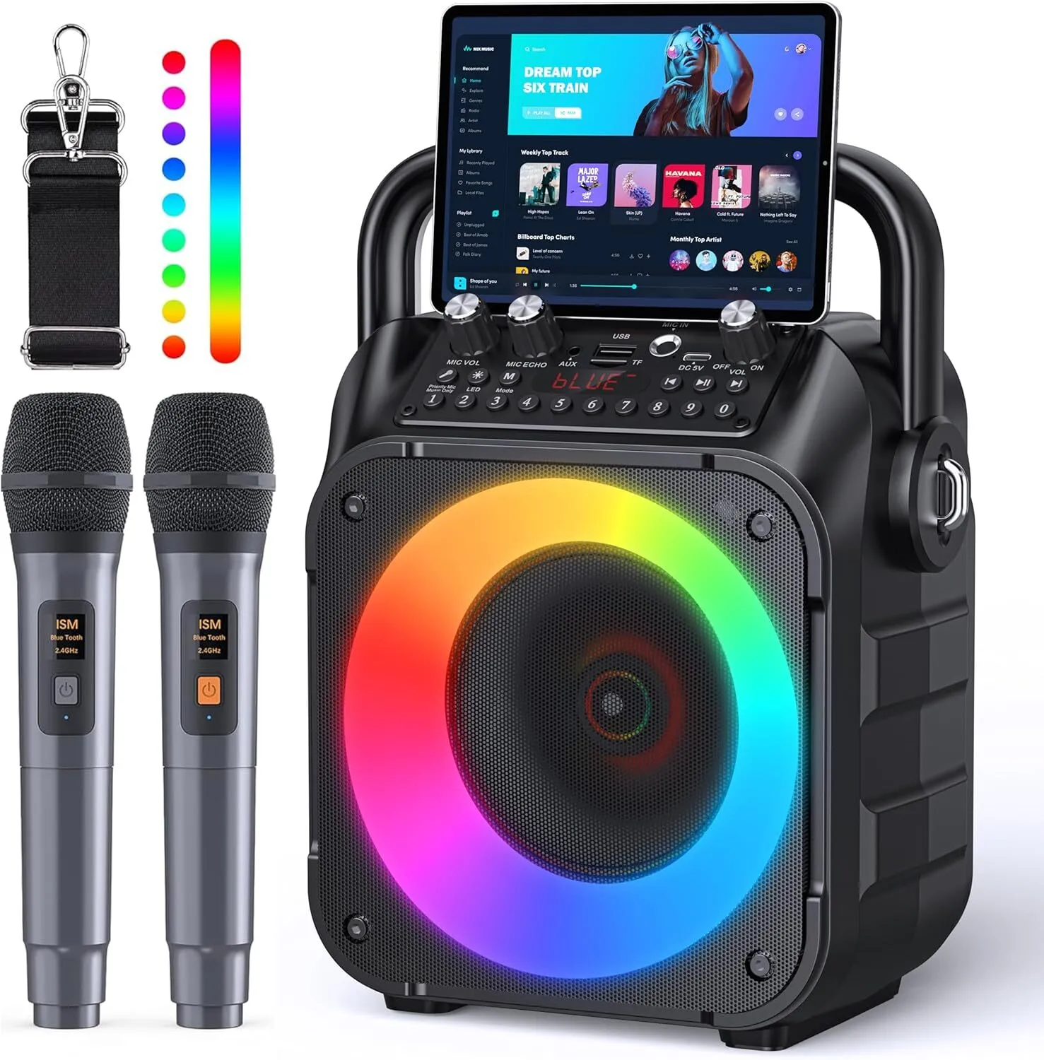 Karaoke Machine (Speaker + 2 Mics)