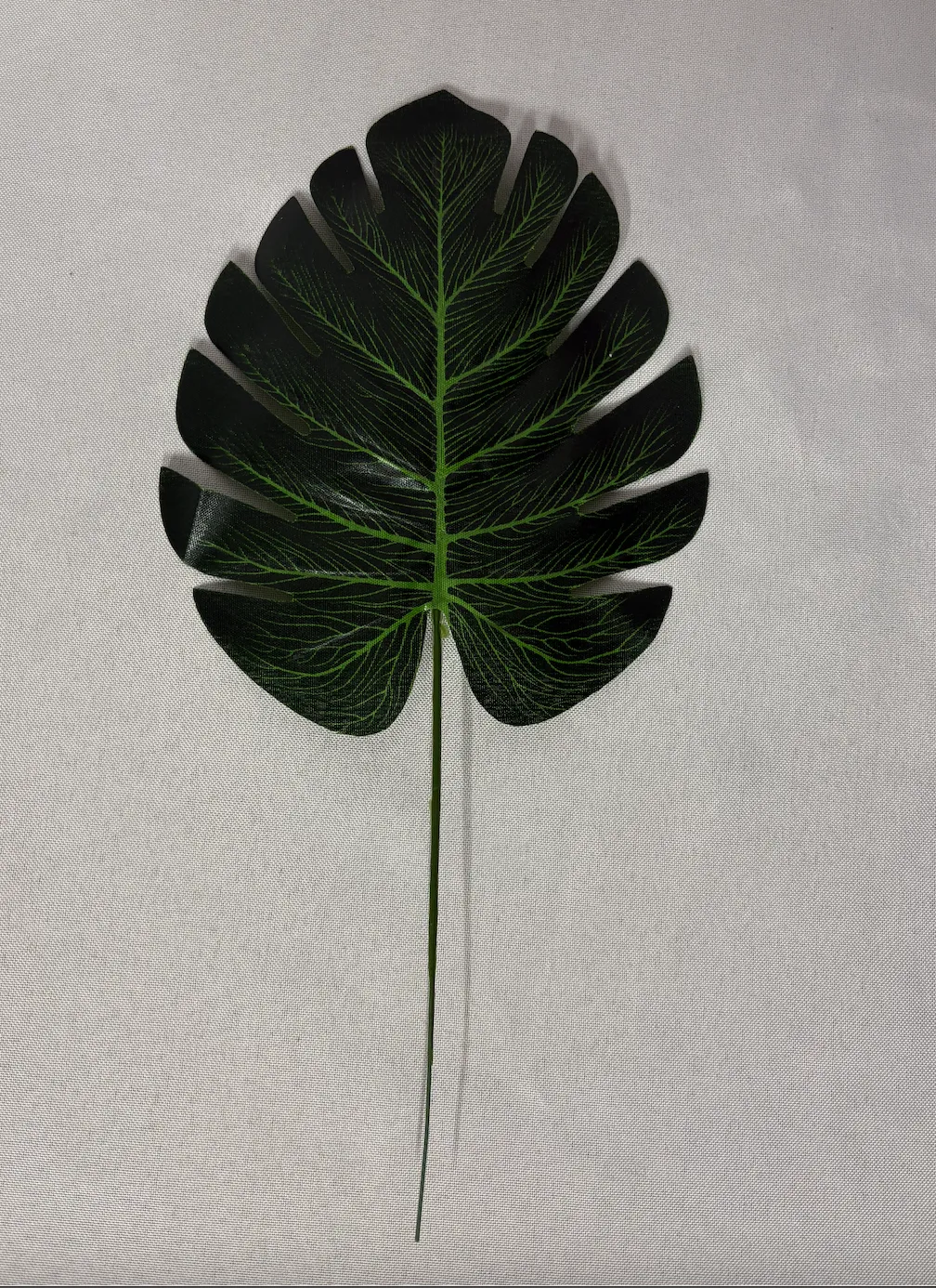 Tropical Filler 4