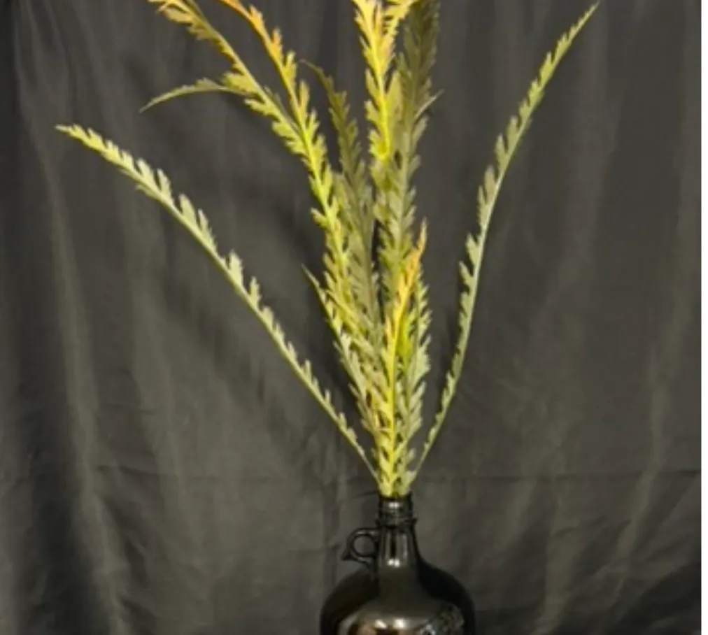 Fall Fern Bush (Artificial)