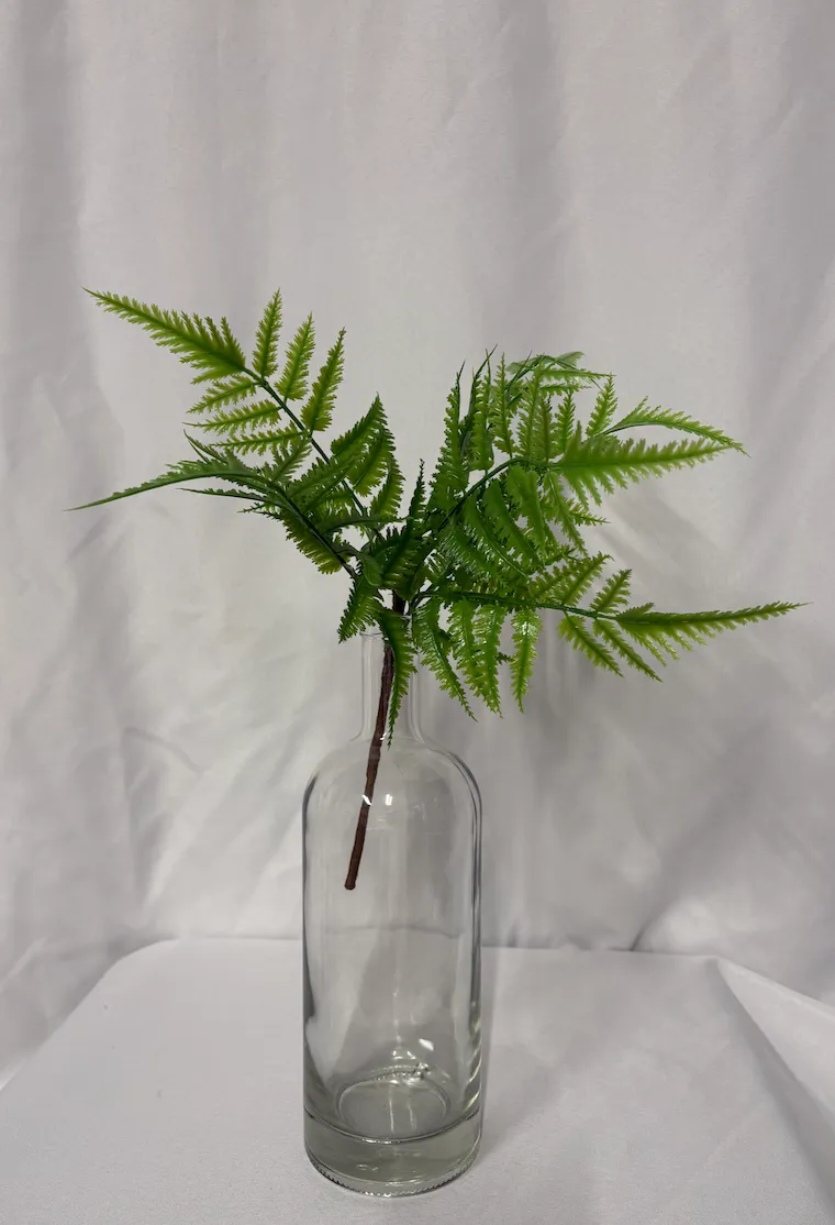 Tropical Bush