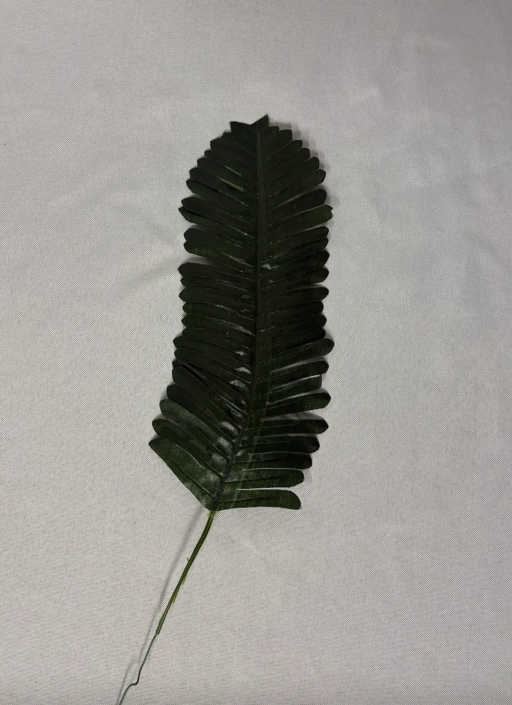 Tropical Filler 6