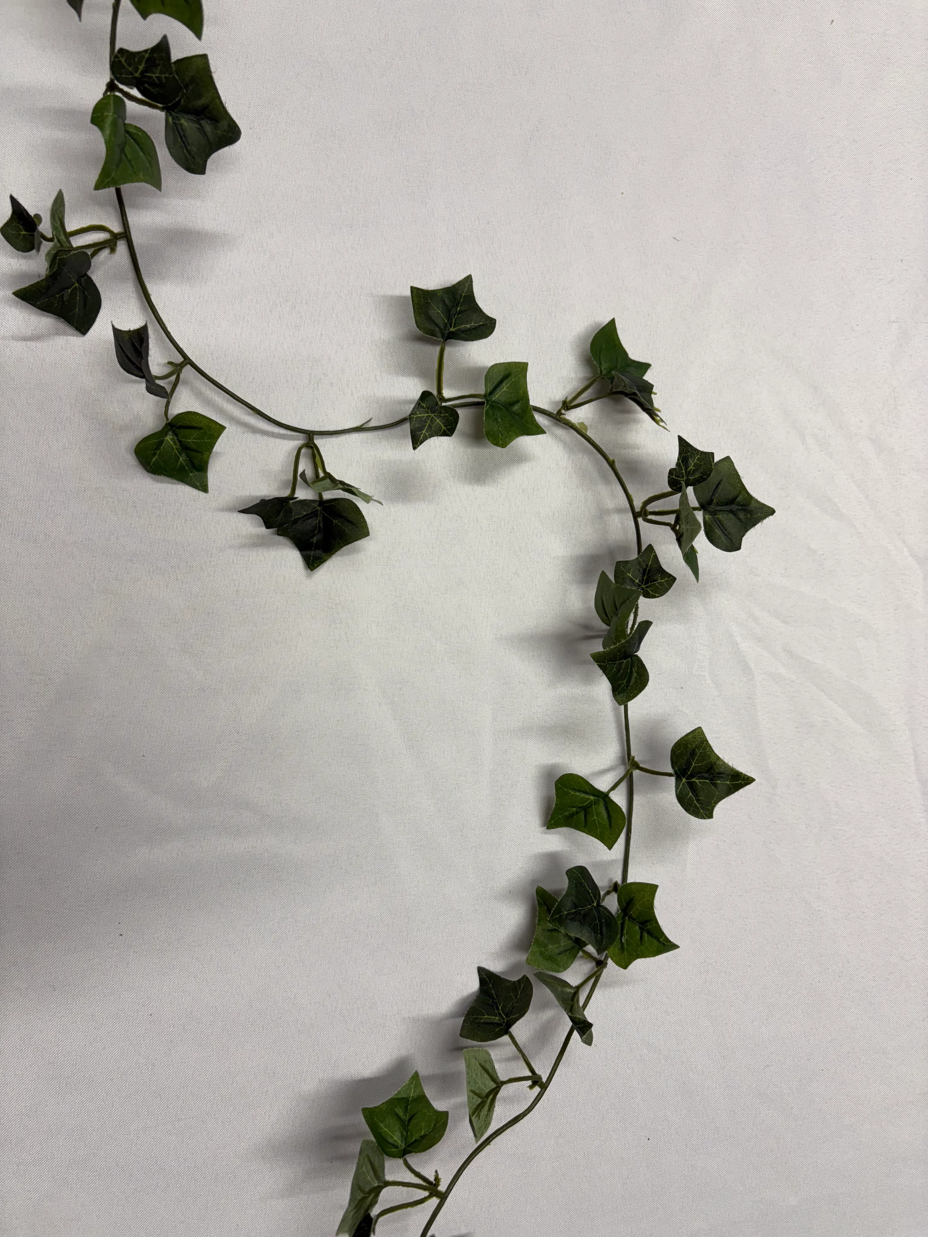Ivy 2 Garland