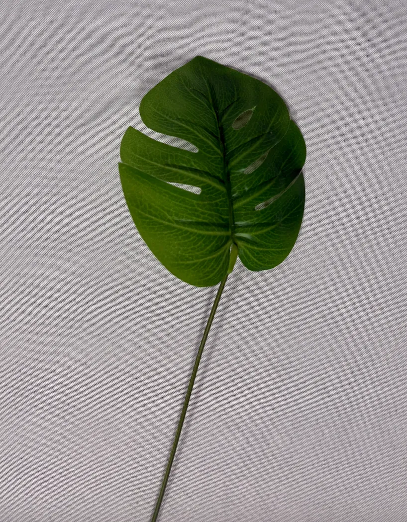 Tropical Filler 7