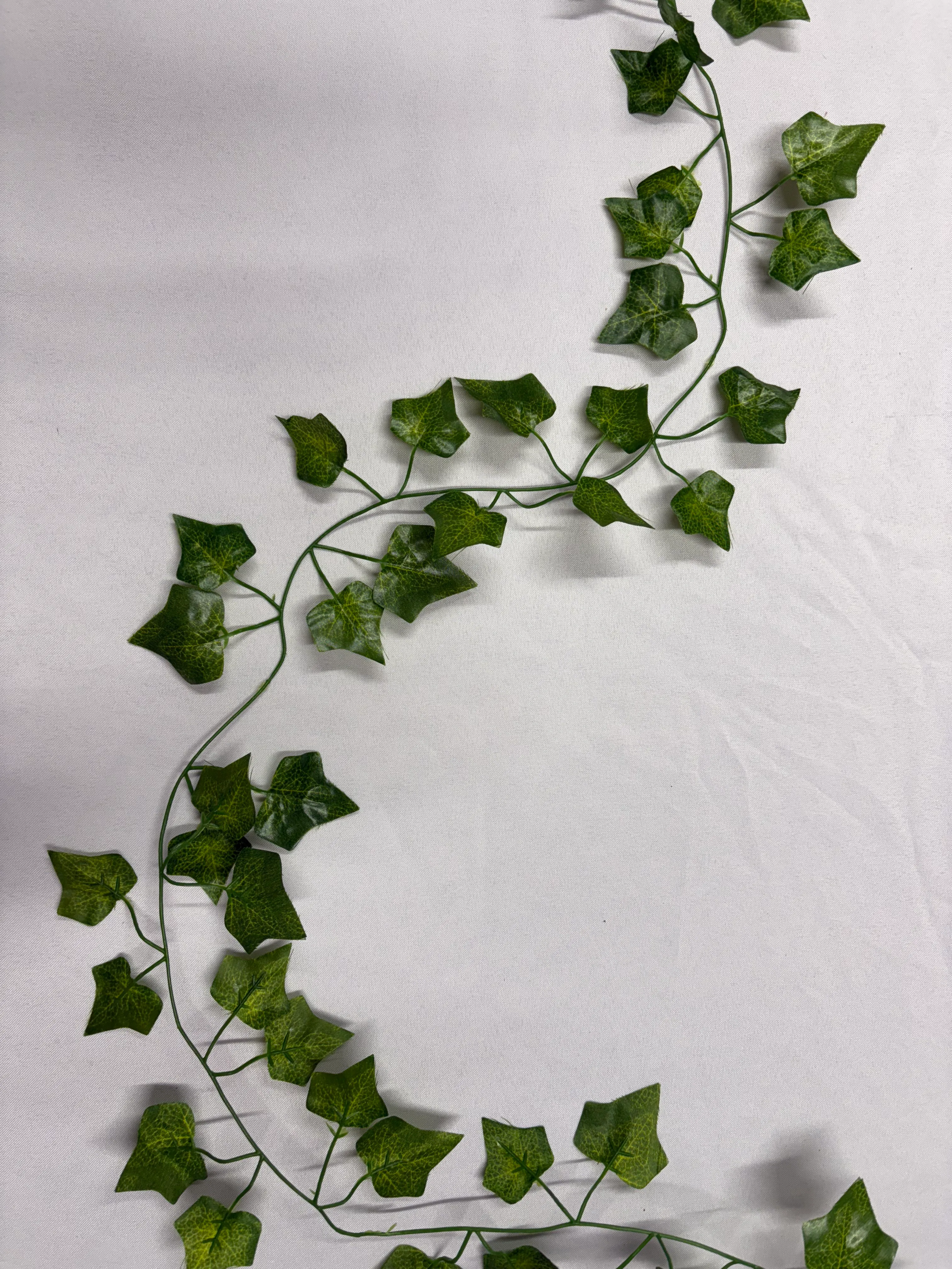 Ivy 1 Garland