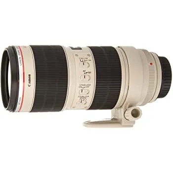 Canon EF 70-200mm f/2.8L IS II Lens  (PARTNER)