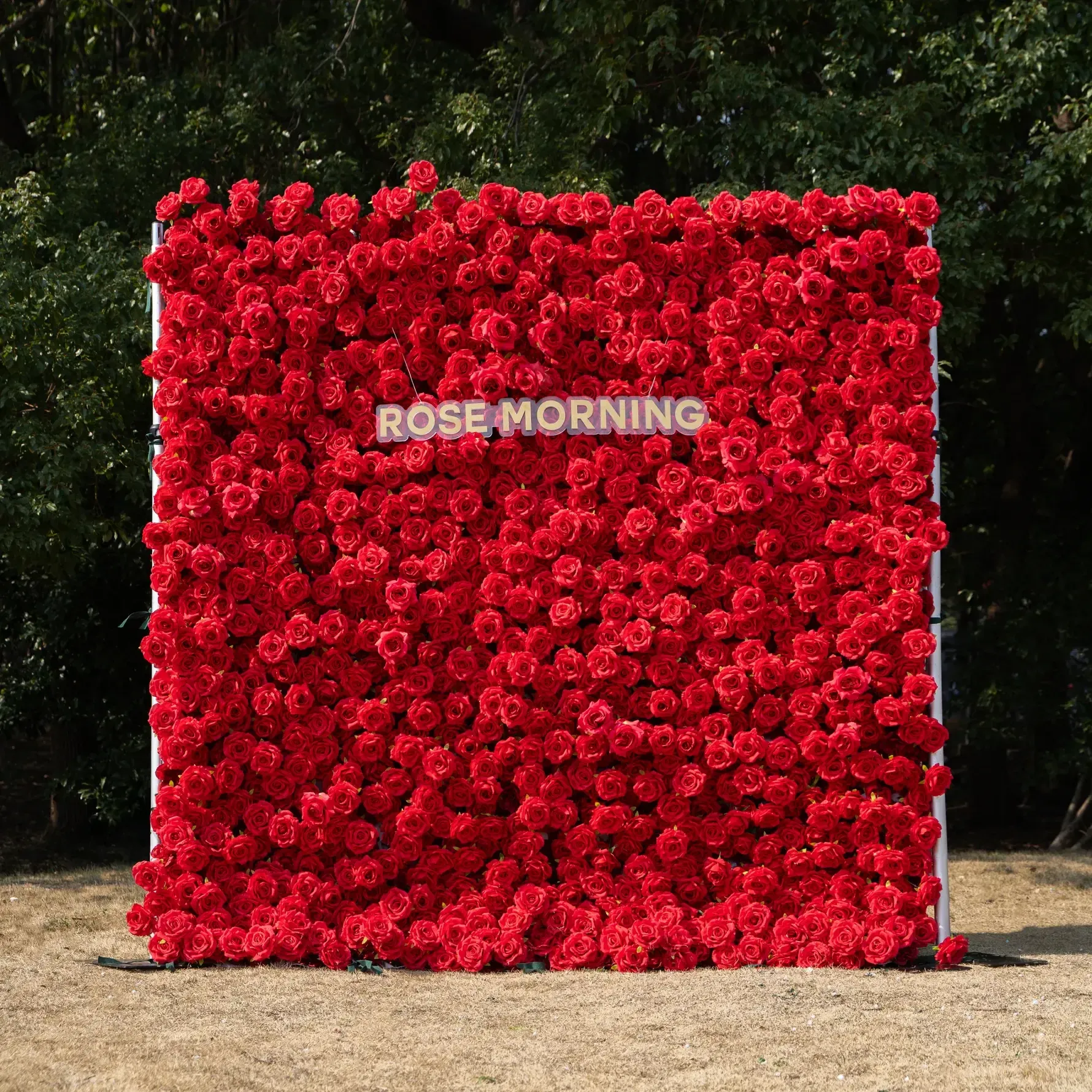 Red Flower Wall
