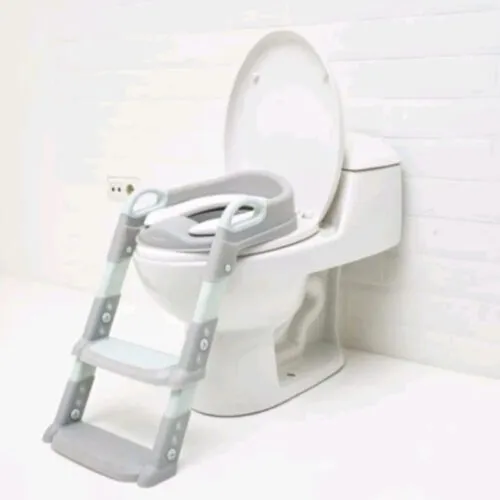 Toilet Steps