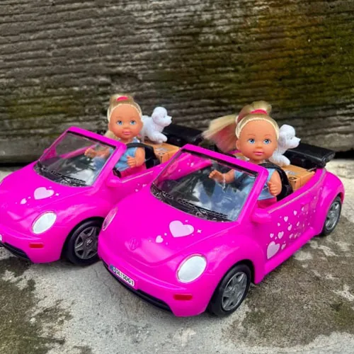 Evy's Beetle