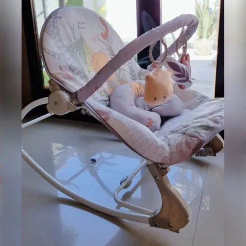 Bouncer Chair