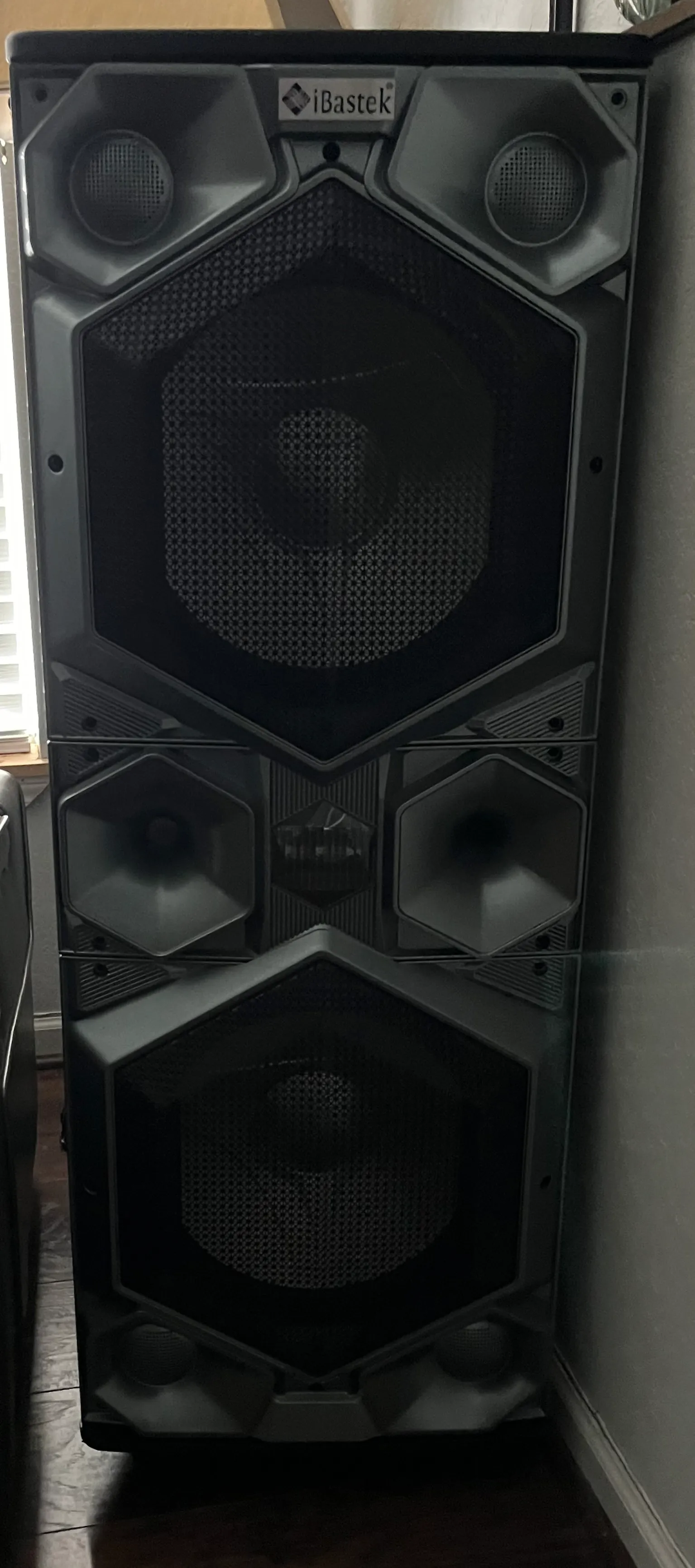 Karaoke Speakers