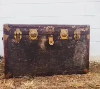 Dark Brown Trunk