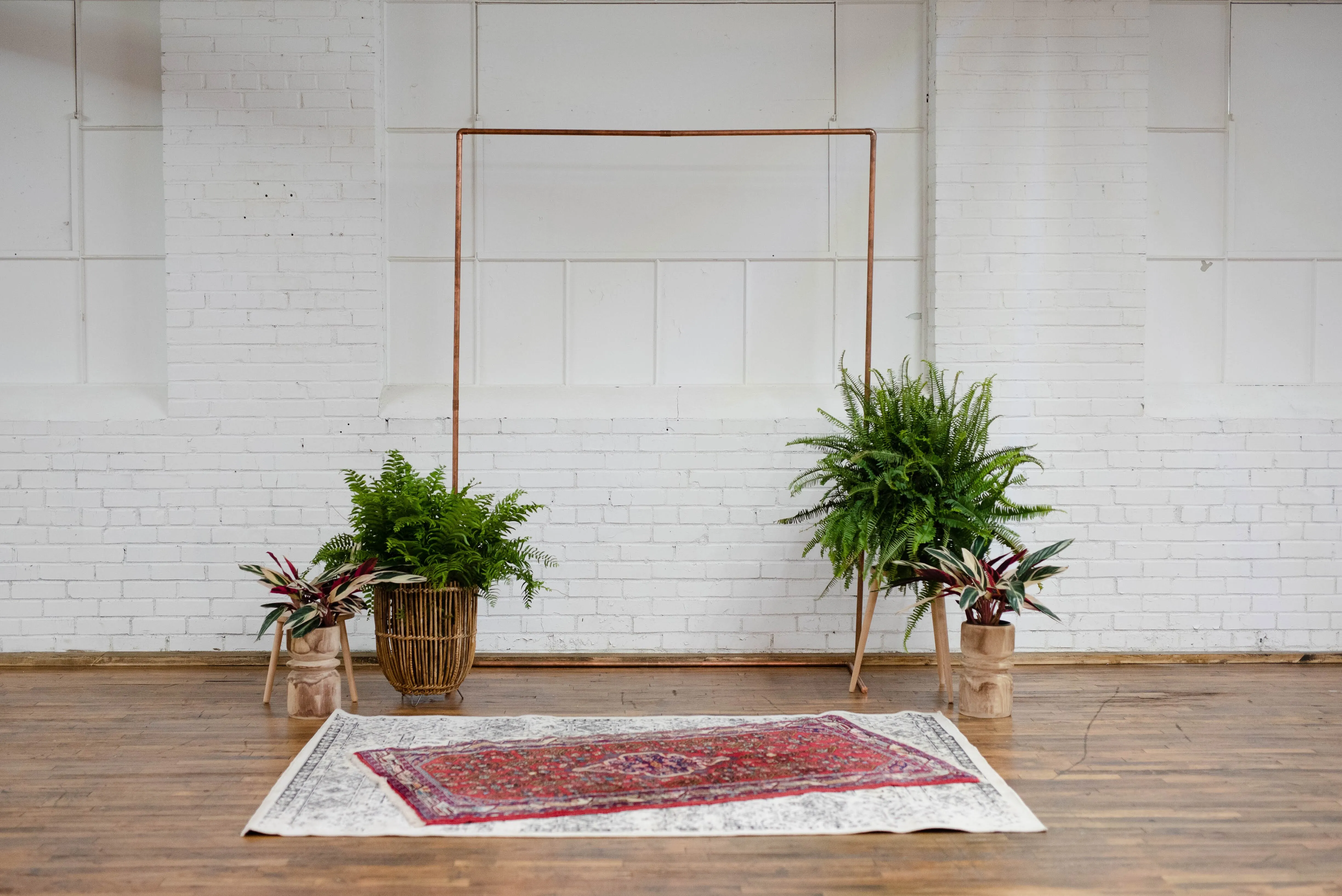 Hyde Area Rug