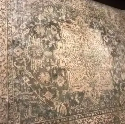 Duplin Area Rug