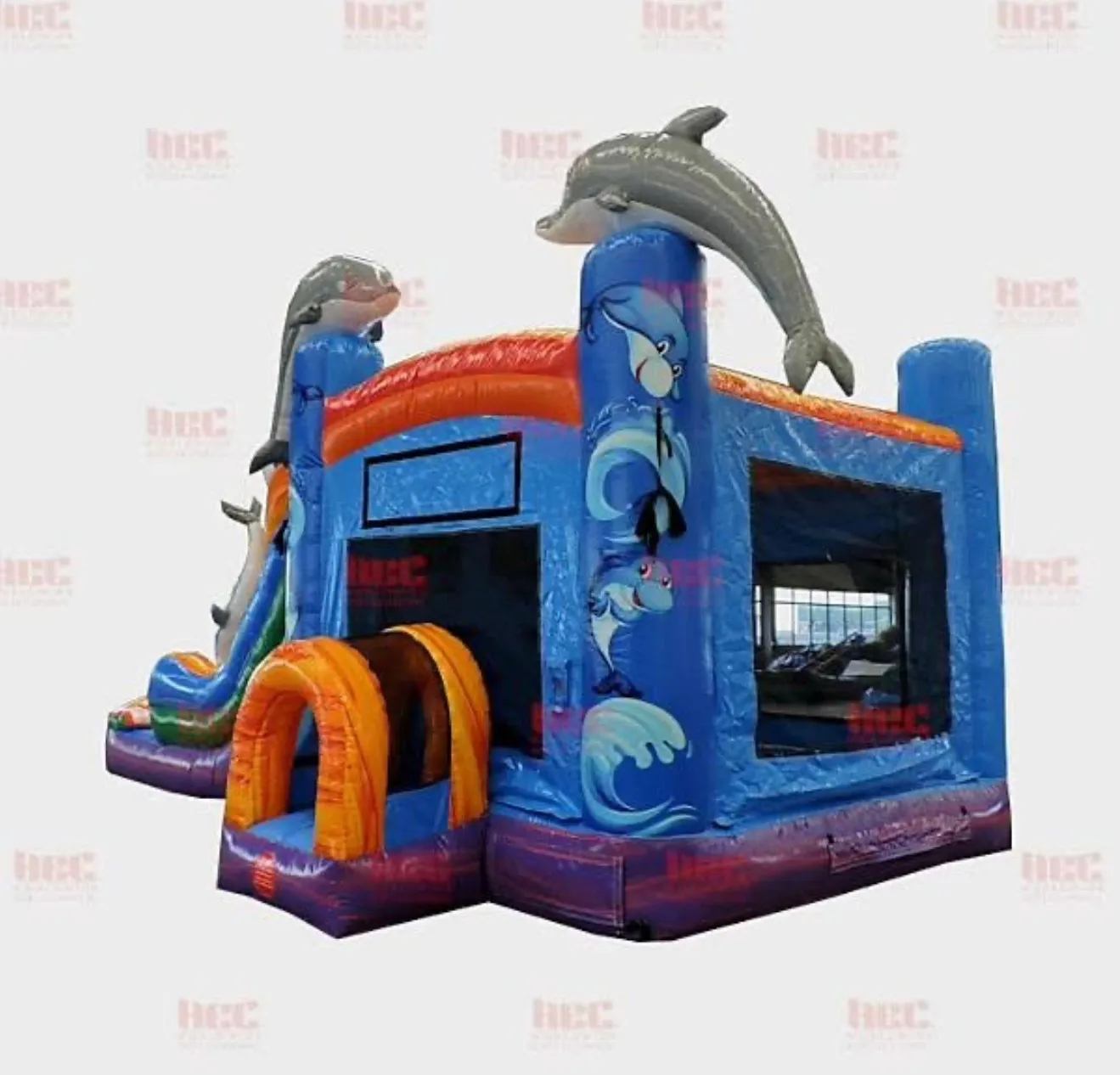 Dolphin 5-1 combo inflatable
