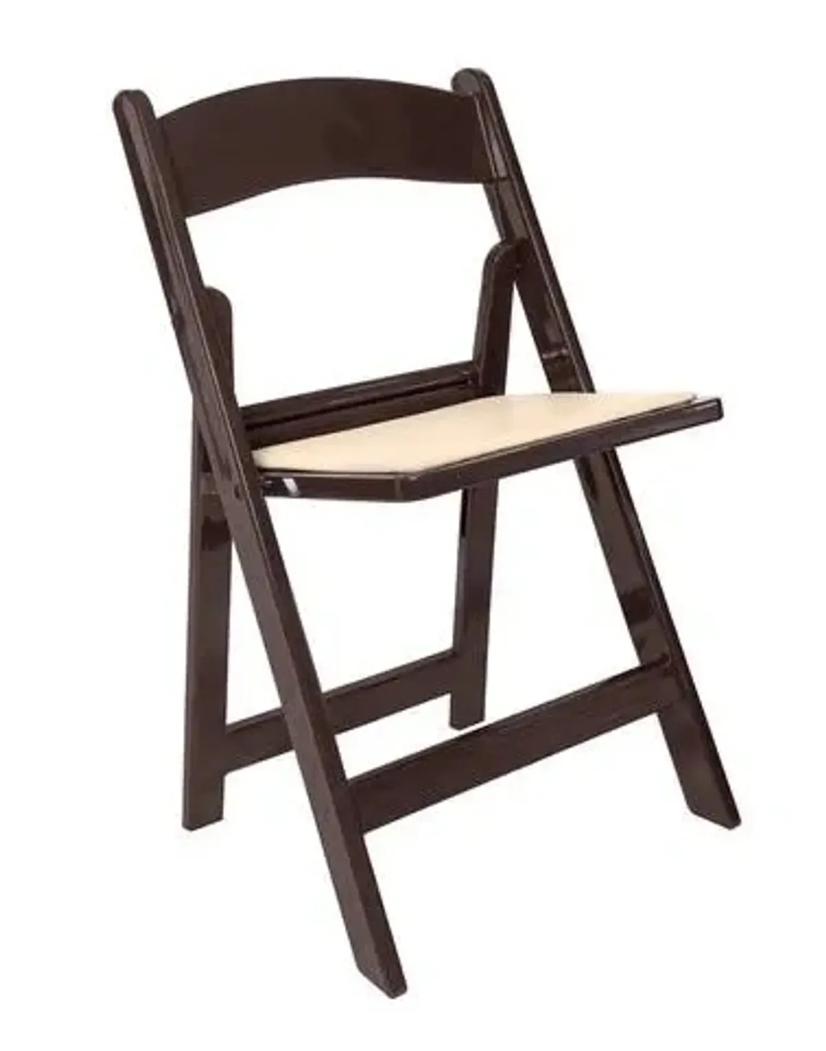 Fruitwood Padded Resin Garden Chair
