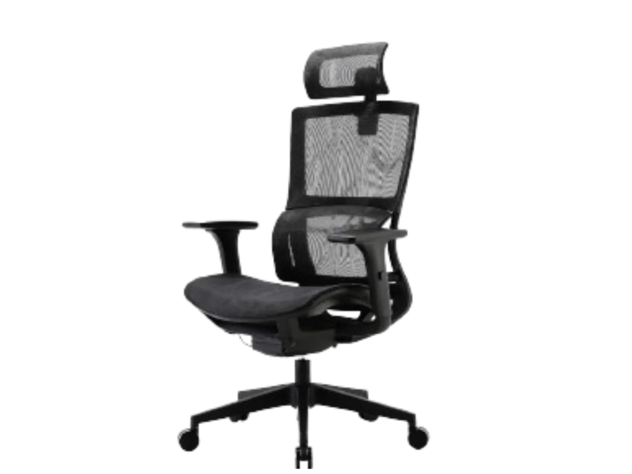 ErgoEdge Elite