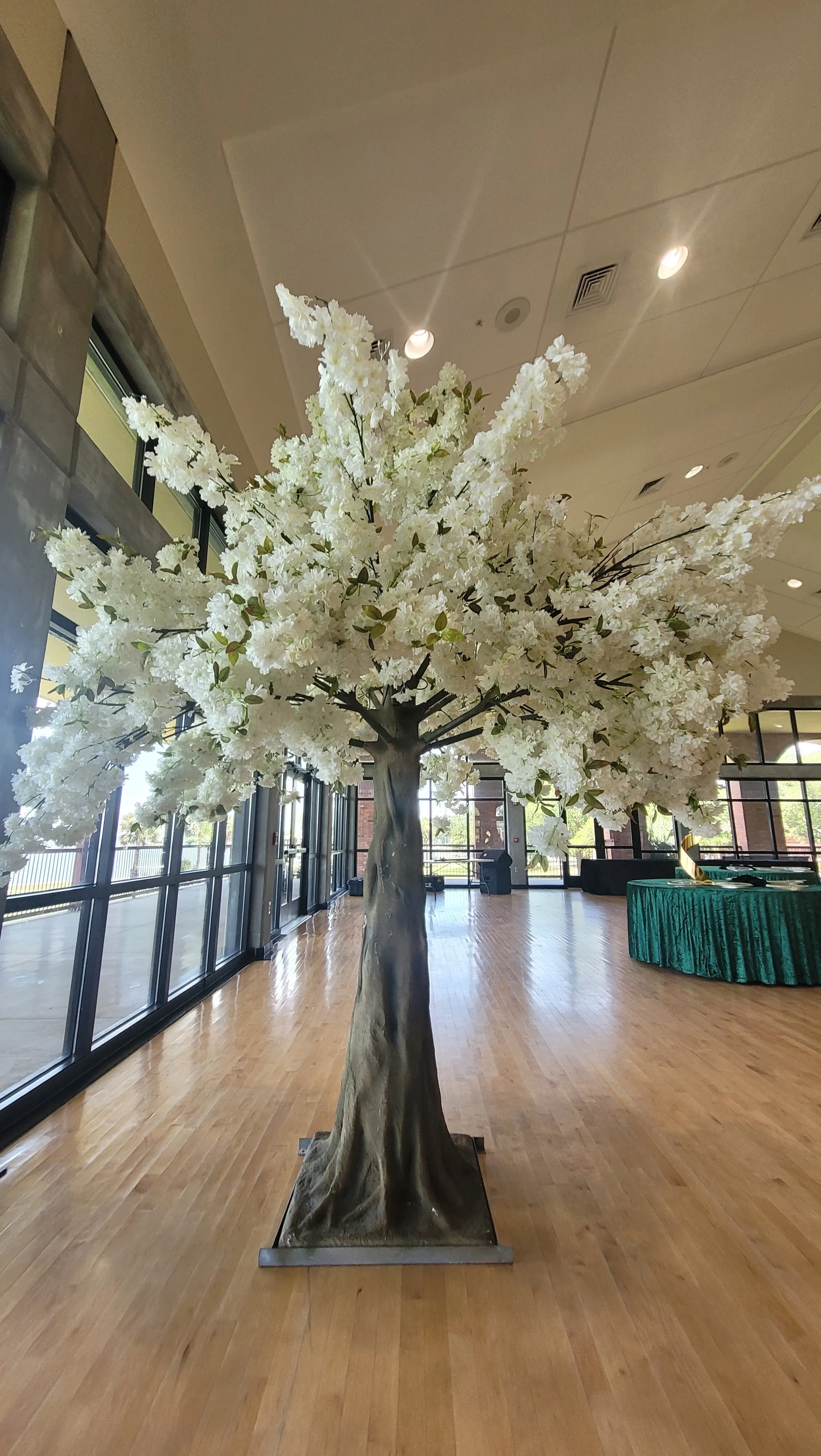 Cherry Blossom Tree