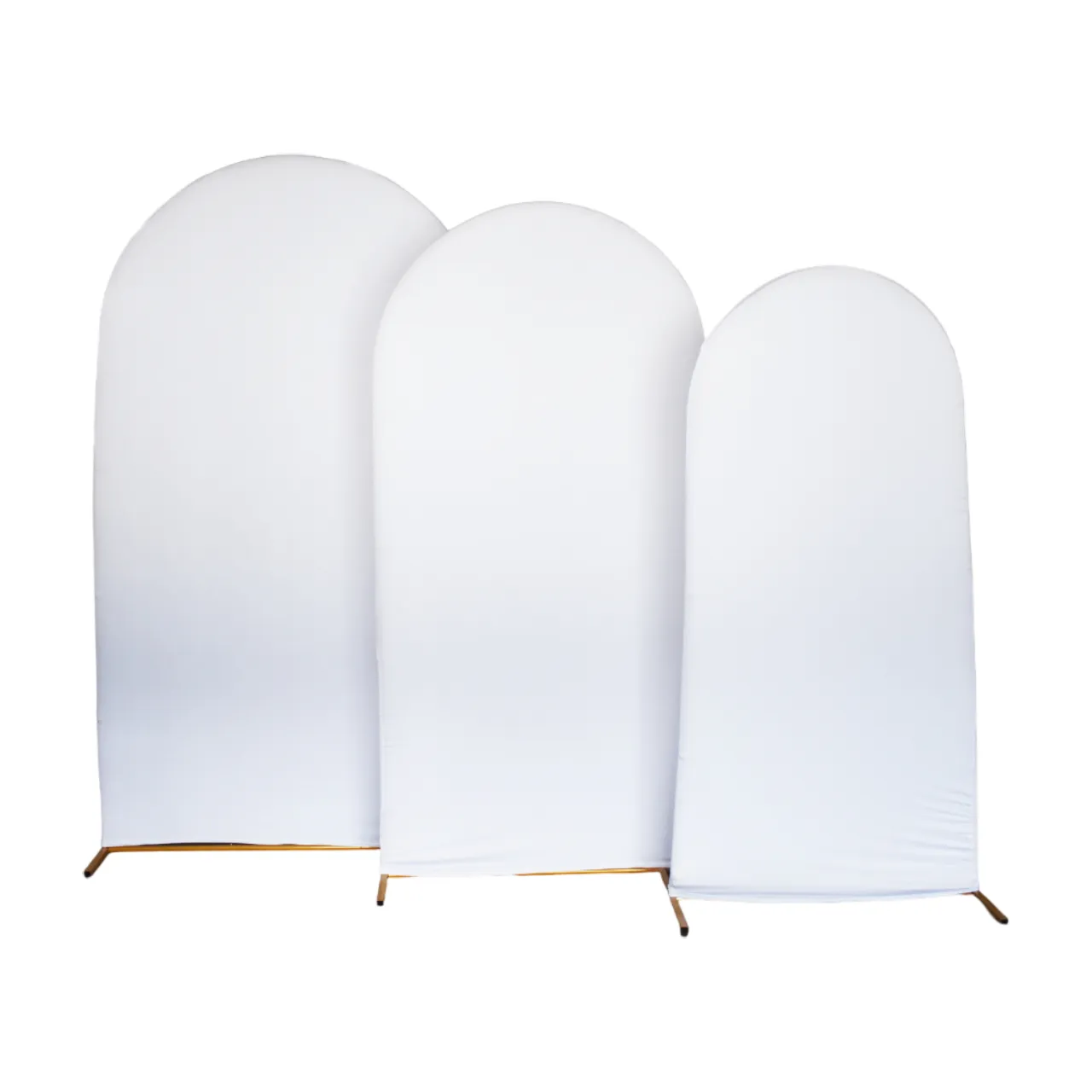 Toile de Fond Blanche