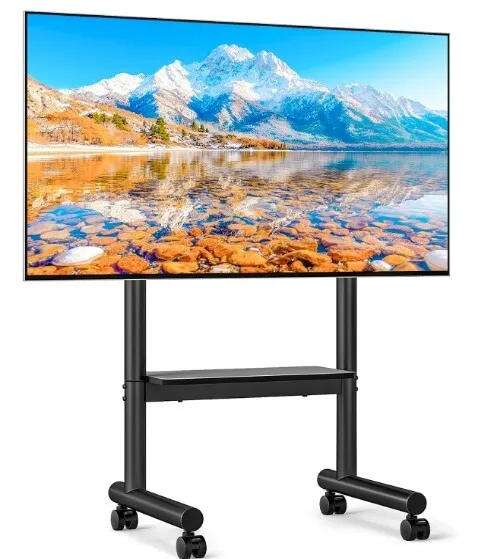 65" Flatscreen TV with Rolling Stand