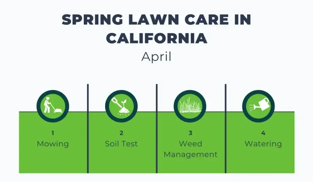Lawn Care
