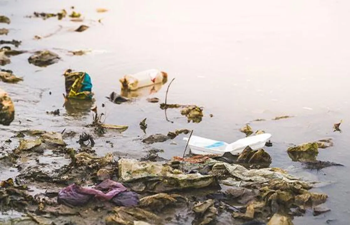 Trash & Debris