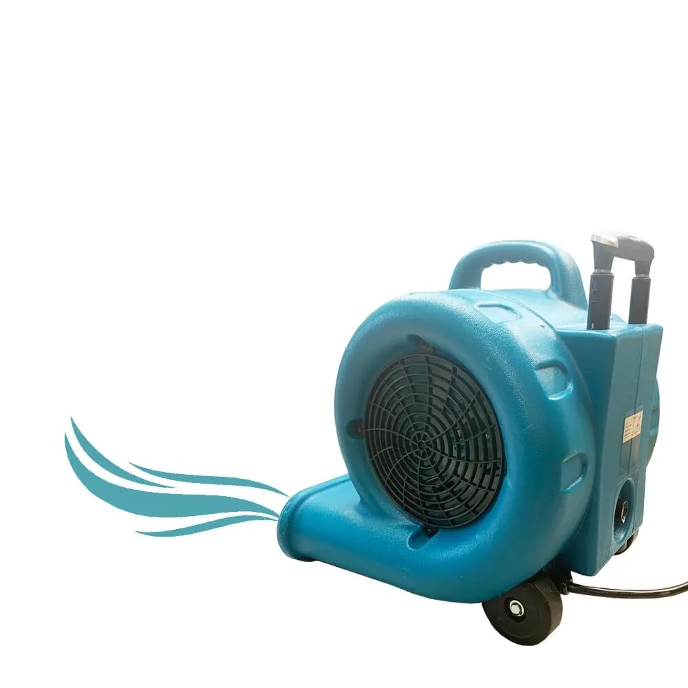 Floor Fan (Dryer)
