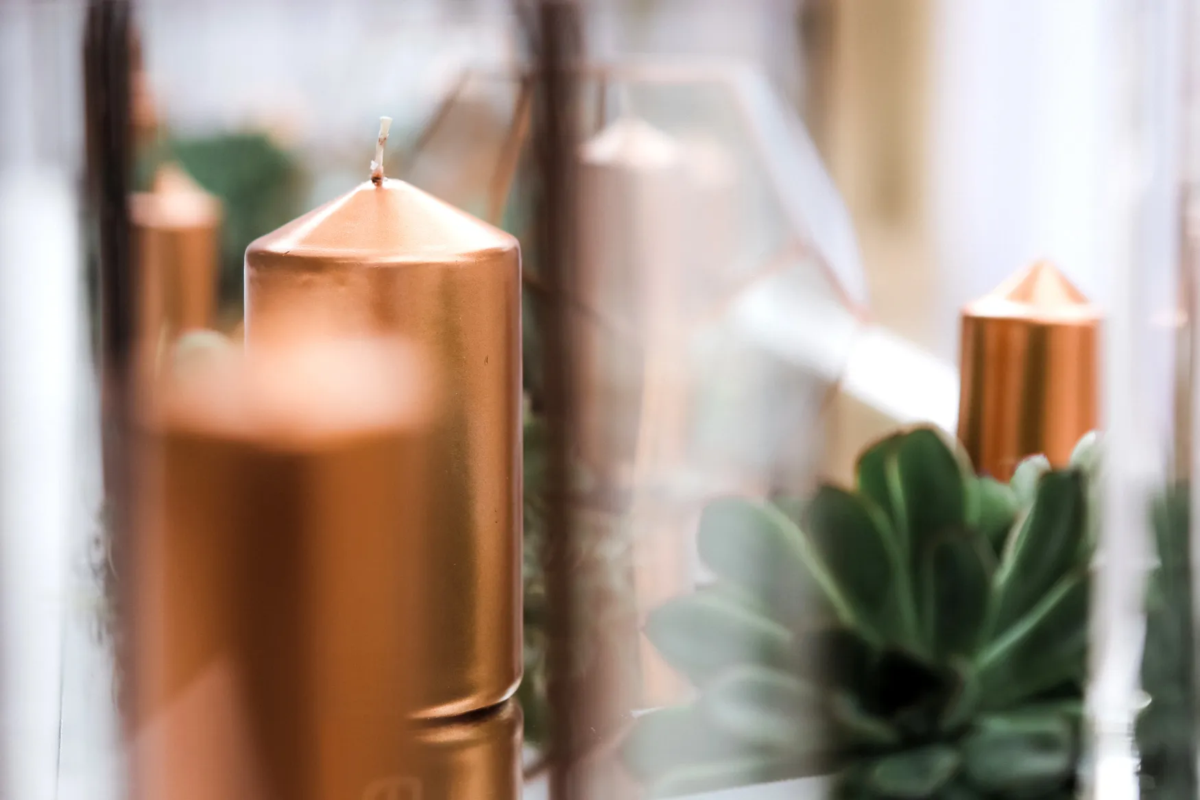 Decor & Accessories