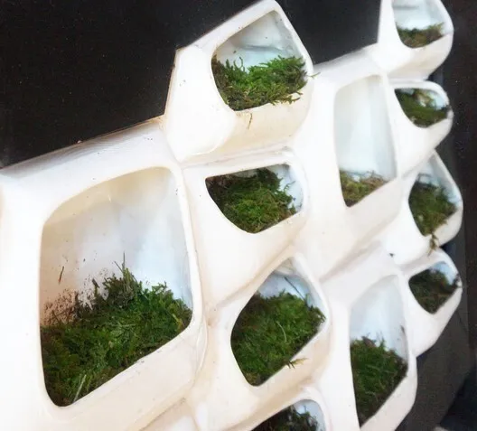 Green Wall 