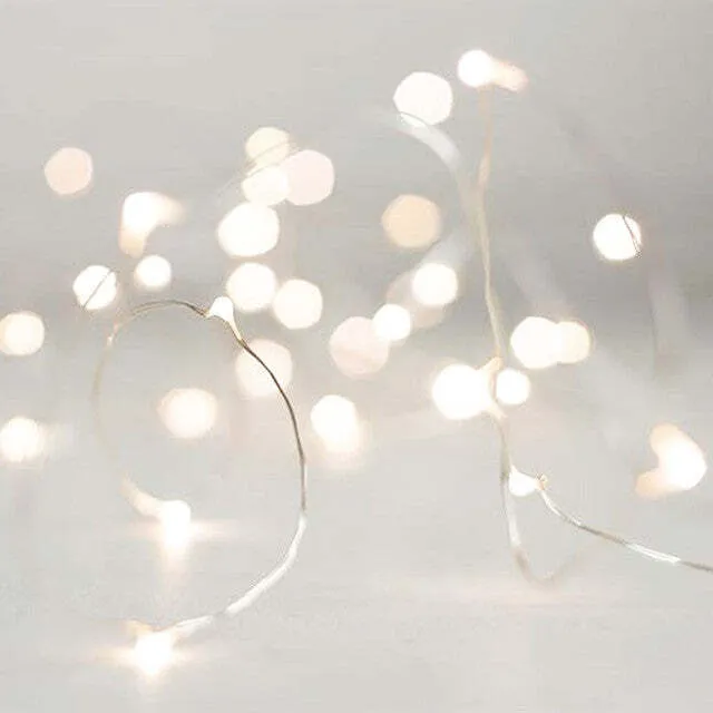 Fairy Lights 