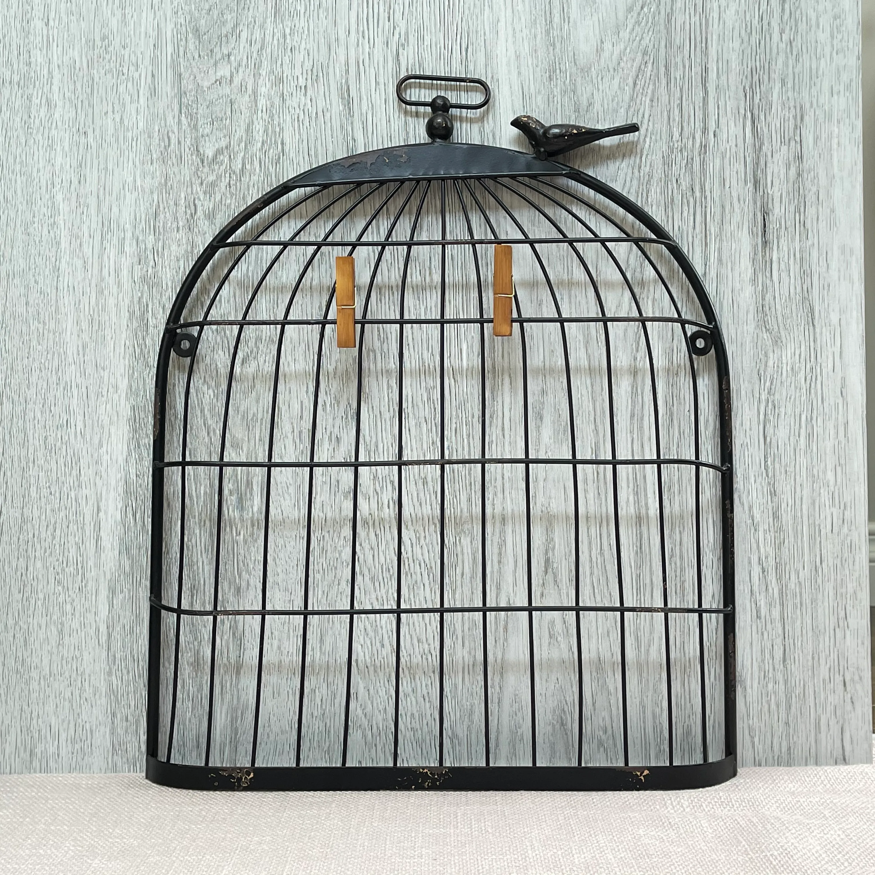 Bird Cage Photo Display