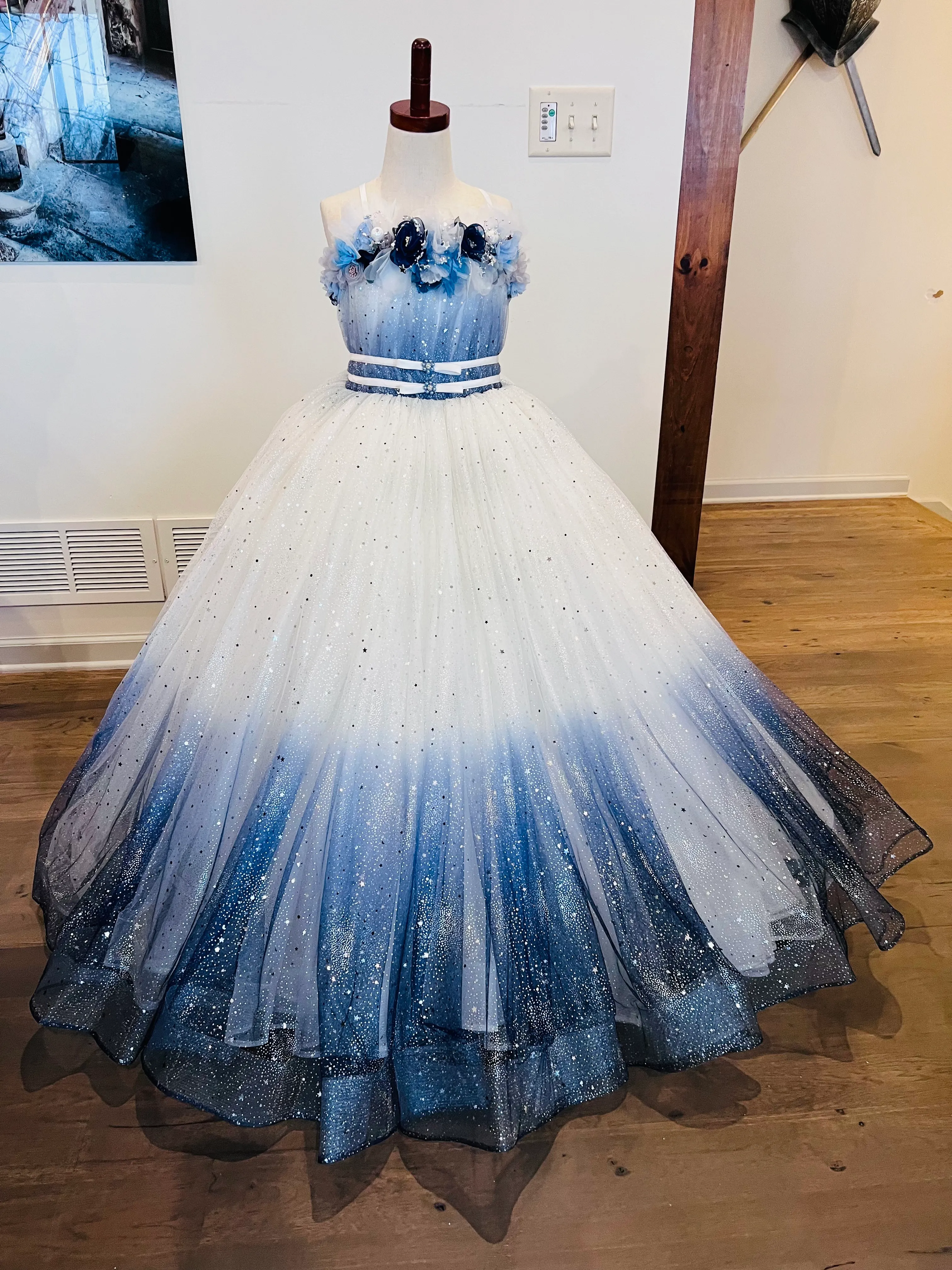 Anna Triant Size 6/7 NEW retails $1050